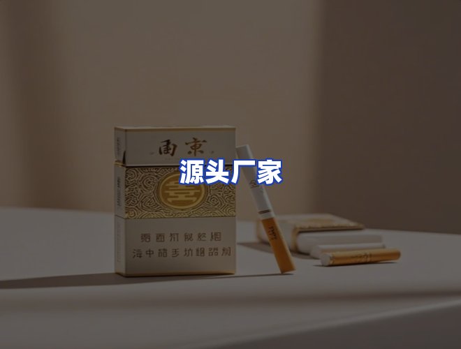 专业团队